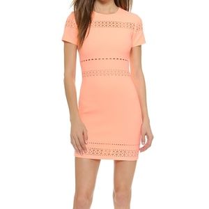 Elizabeth and James Laser Cut dress